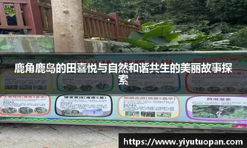 jinnianhui金年会