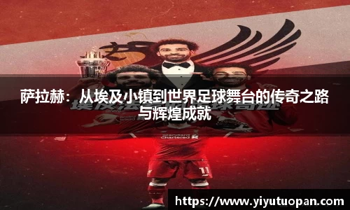 金年会体育